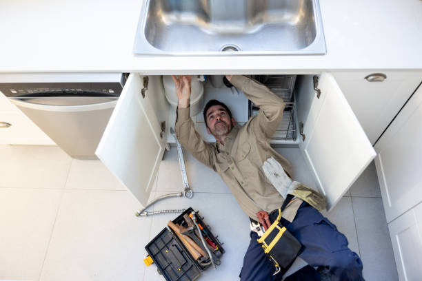 Best Local Plumber Services  in West Homestead, PA